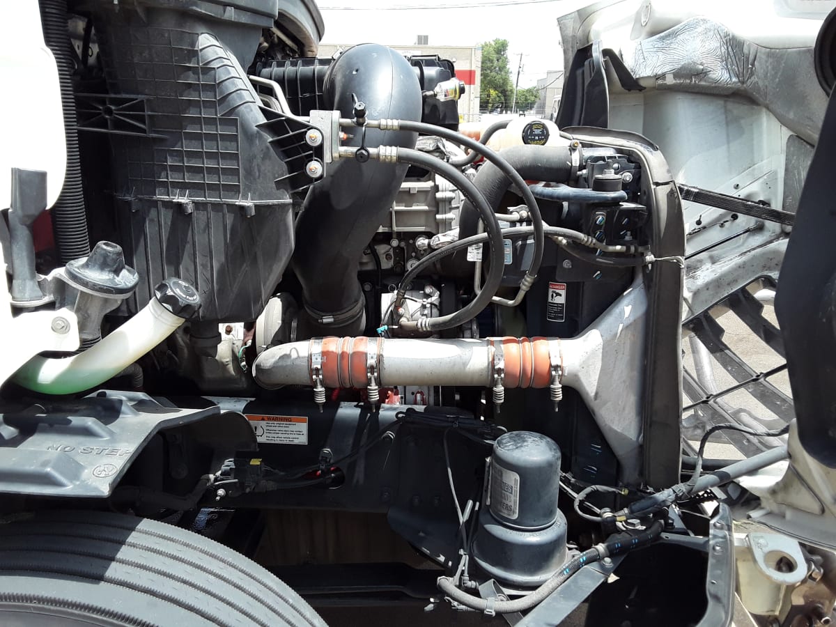 2020 Freightliner/Mercedes NEW CASCADIA 116 270294