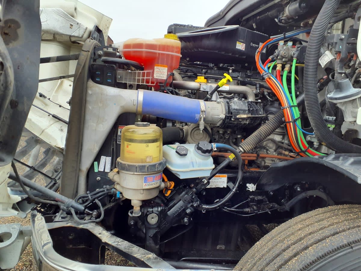 2020 Freightliner/Mercedes NEW CASCADIA 116 270305