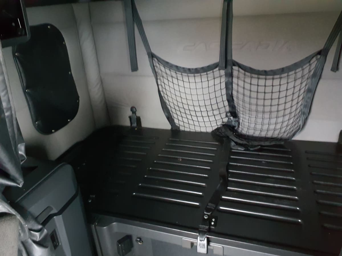 2020 Freightliner/Mercedes NEW CASCADIA PX12664 271435