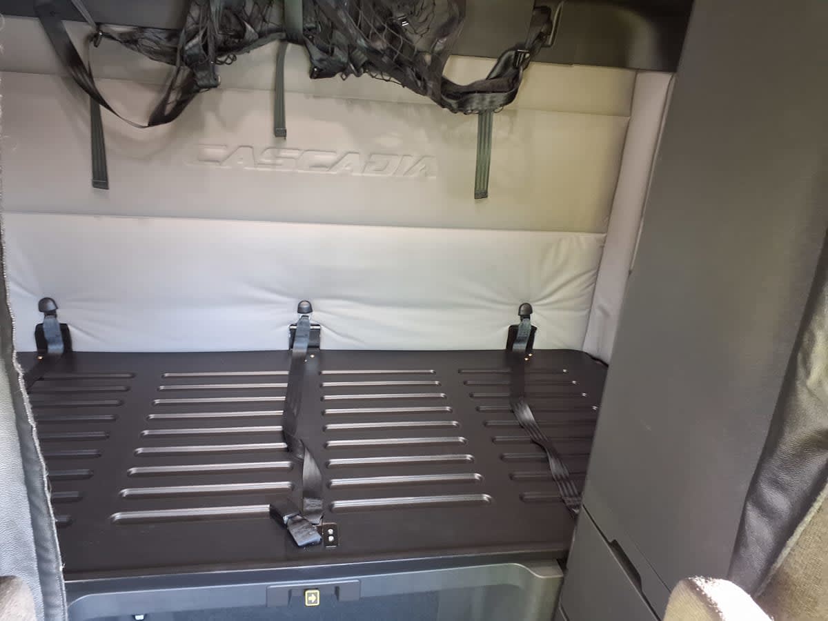 2020 Freightliner/Mercedes NEW CASCADIA PX12664 271451