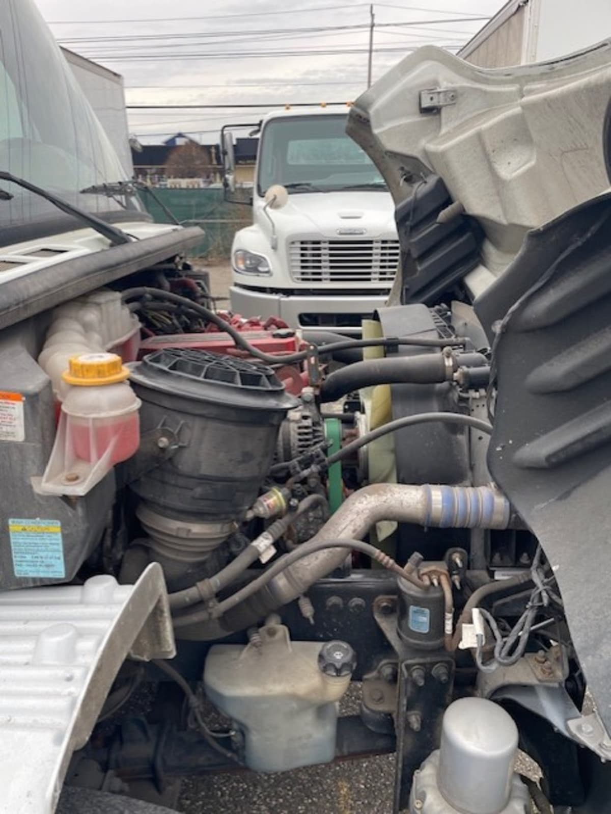 2020 Freightliner/Mercedes M2 106 271721