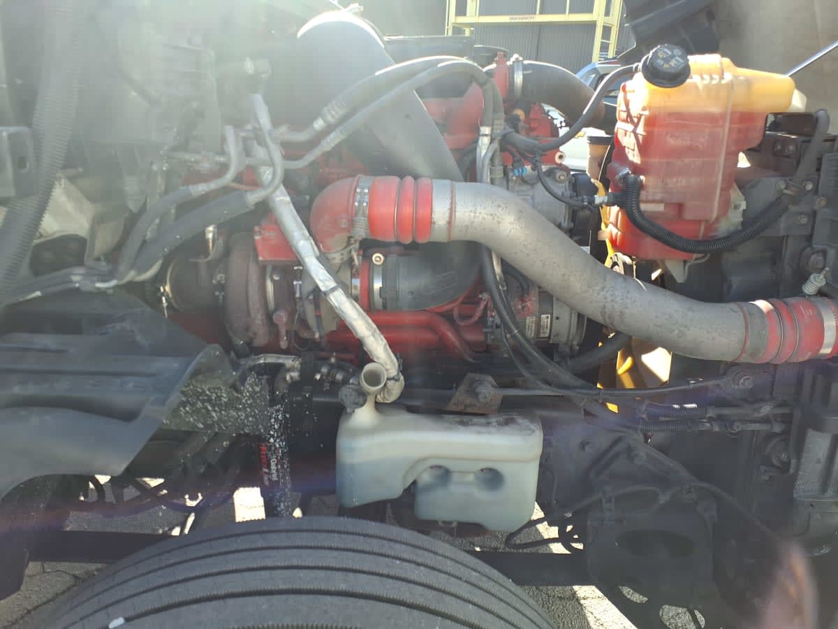 2020 International - image 10