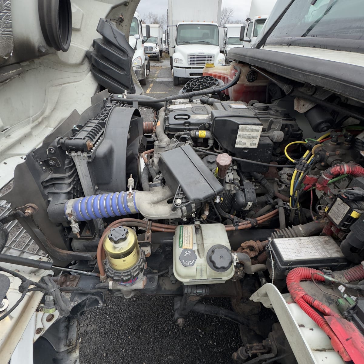 2020 Freightliner/Mercedes M2 106 272351