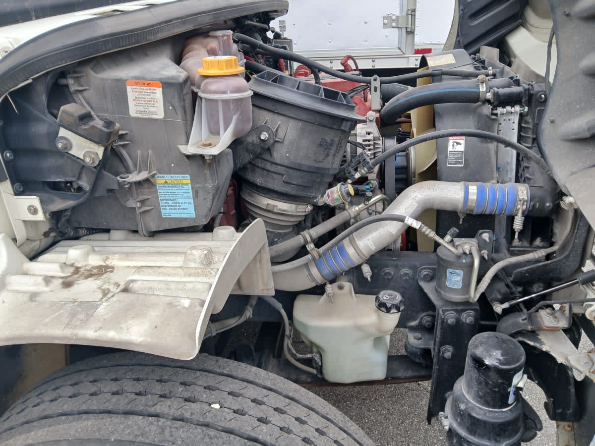 2020 Freightliner/Mercedes M2 106 273516