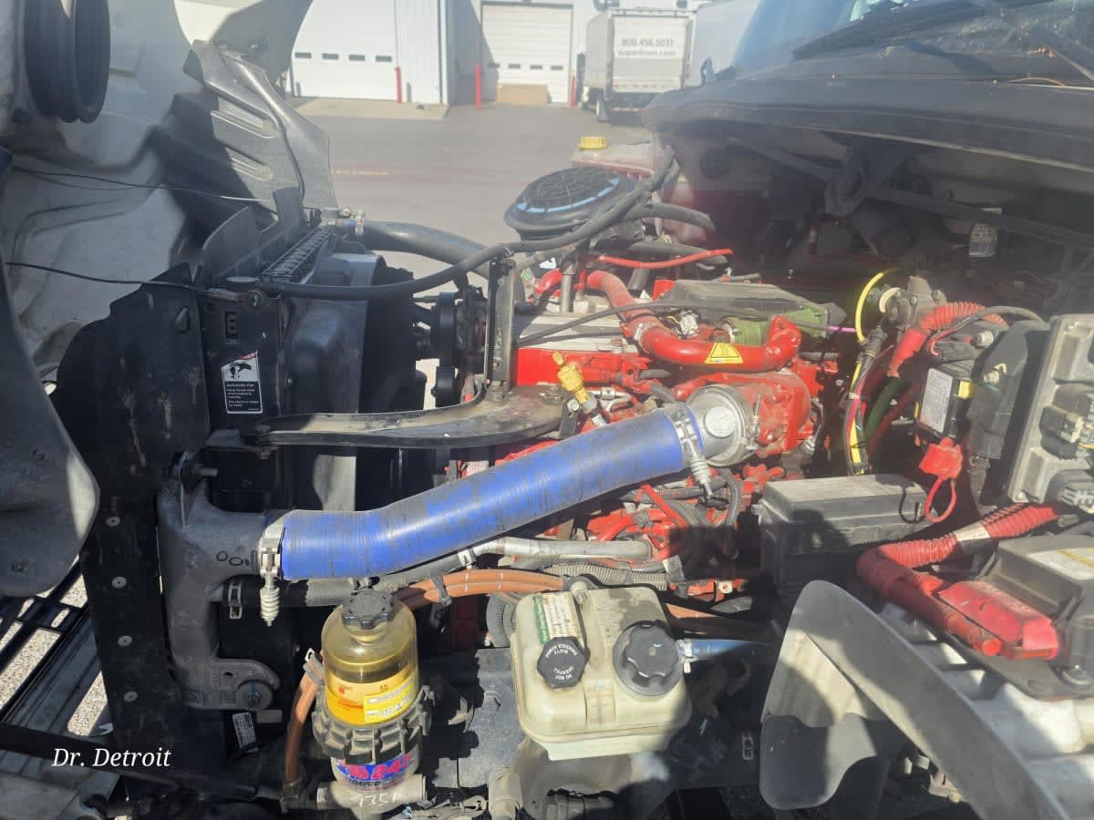 2020 Freightliner/Mercedes M2 106 273636