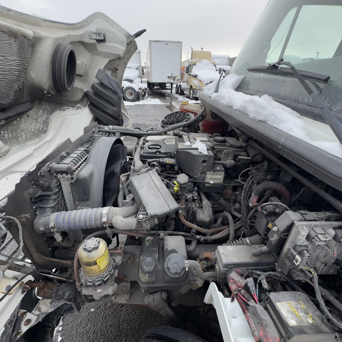 2020 Freightliner/Mercedes M2 106 273733