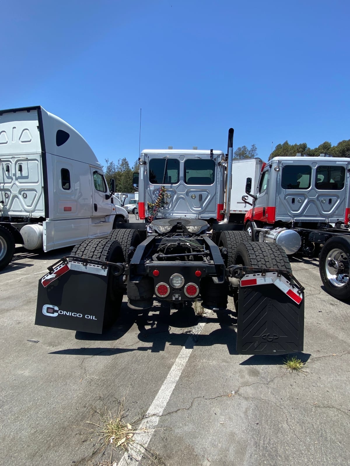 2020 Freightliner/Mercedes NEW CASCADIA 116 273923