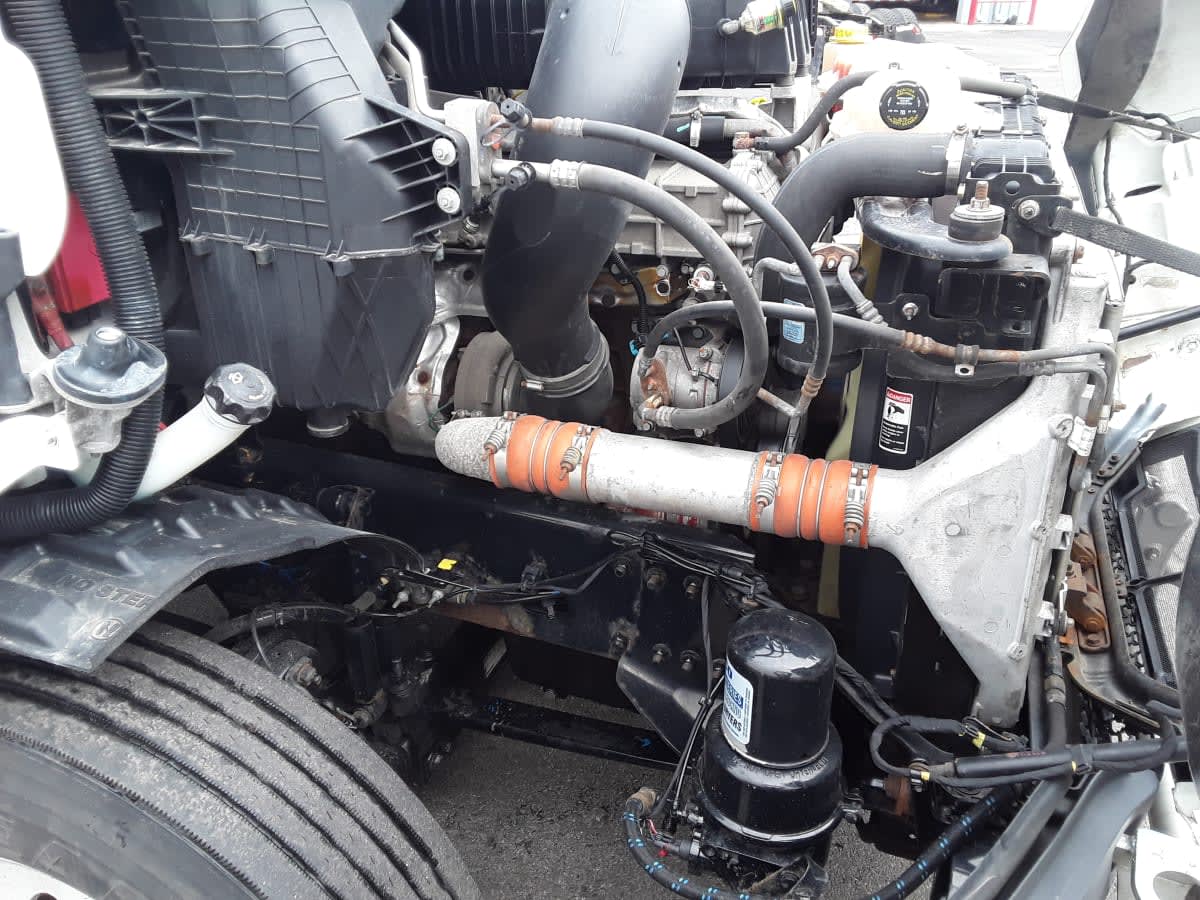 2020 Freightliner/Mercedes NEW CASCADIA 116 273974