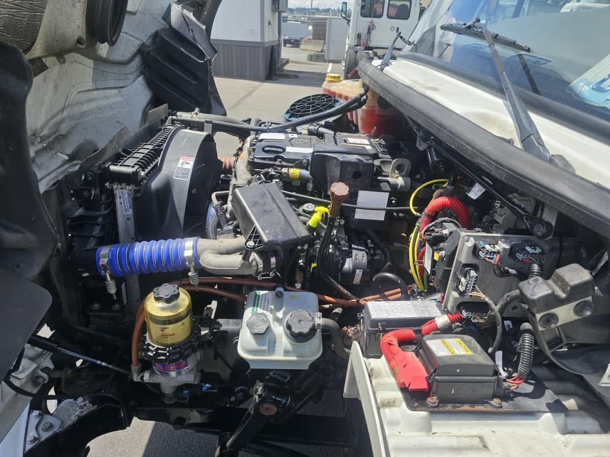 2020 Freightliner/Mercedes M2 106 274013