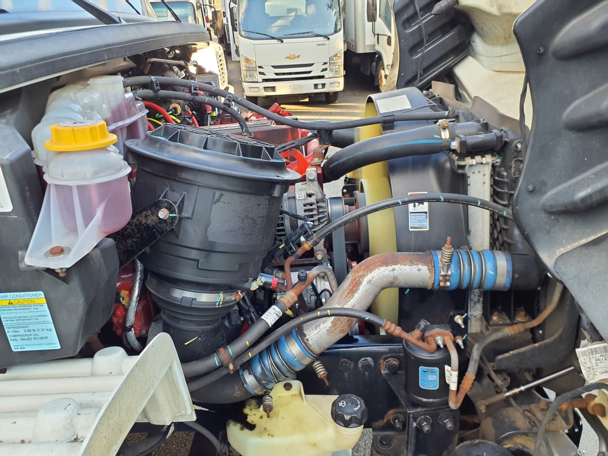 2020 Freightliner/Mercedes M2 106 274184