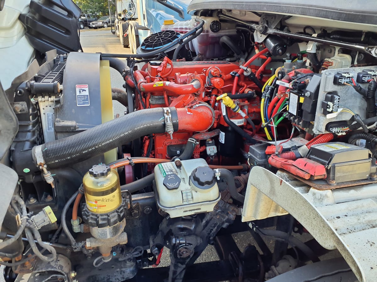 2020 Freightliner/Mercedes M2 106 274184