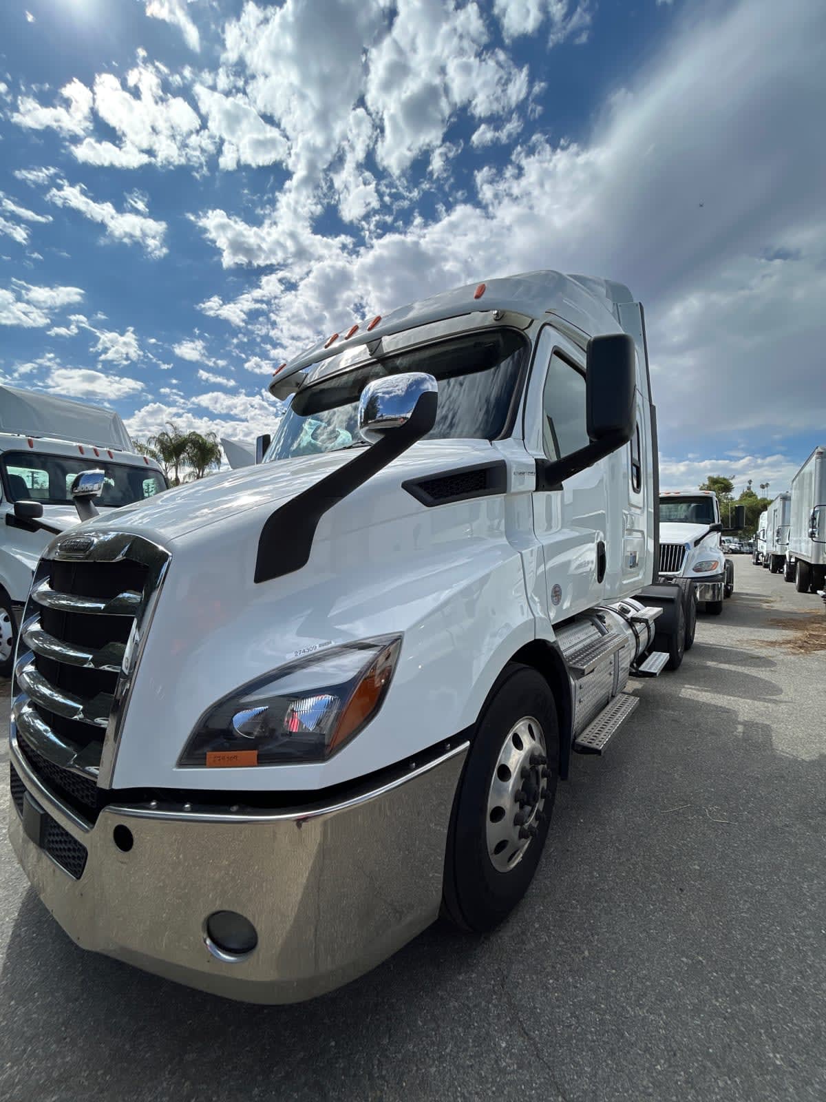 2020 Freightliner/Mercedes NEW CASCADIA 116 274309