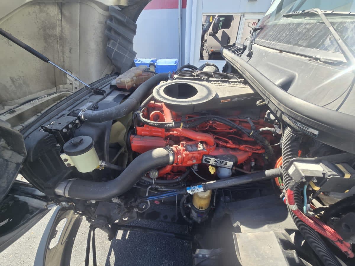 2020 International - image 8