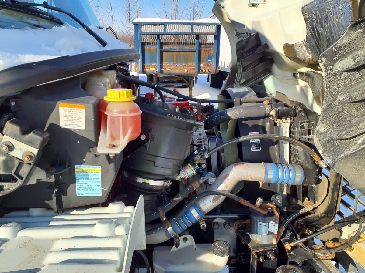 2020 Freightliner/Mercedes M2 106 274673