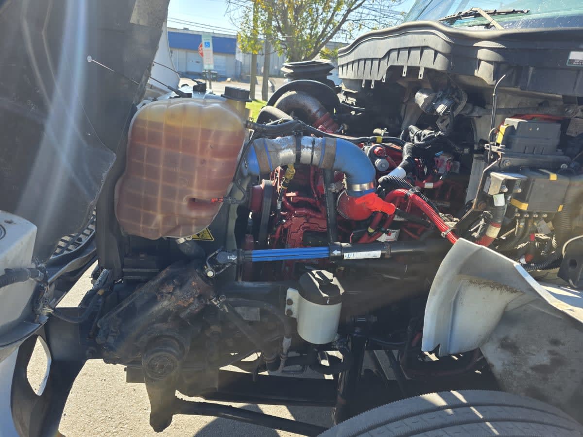 2020 Navistar International MV607 (4X2) 275173