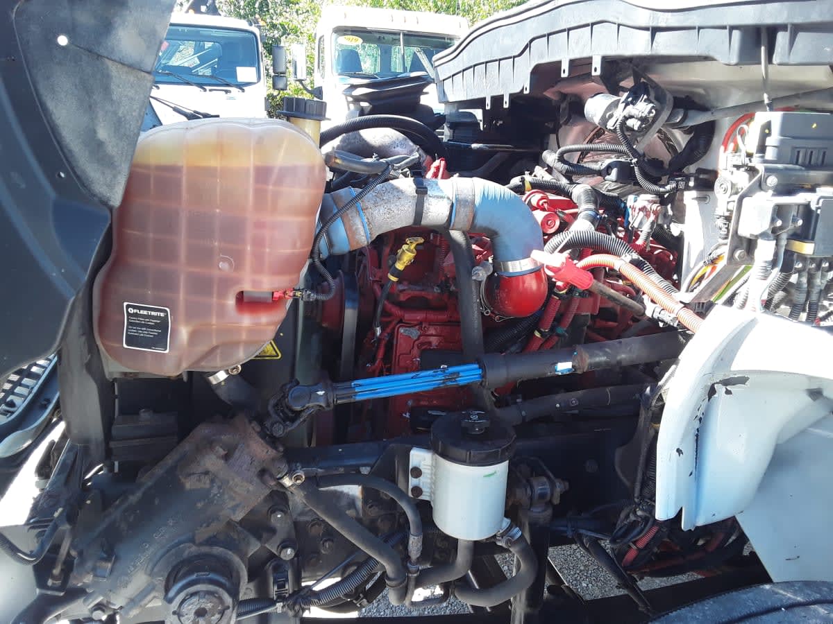 2020 Navistar International MV607 (4X2) 275327