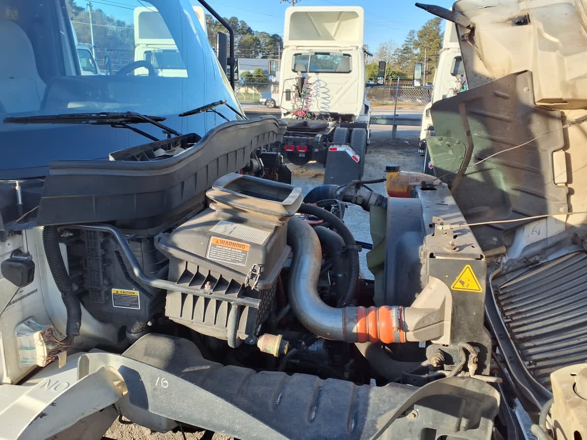 2020 Navistar International MV607 (4X2) 276038