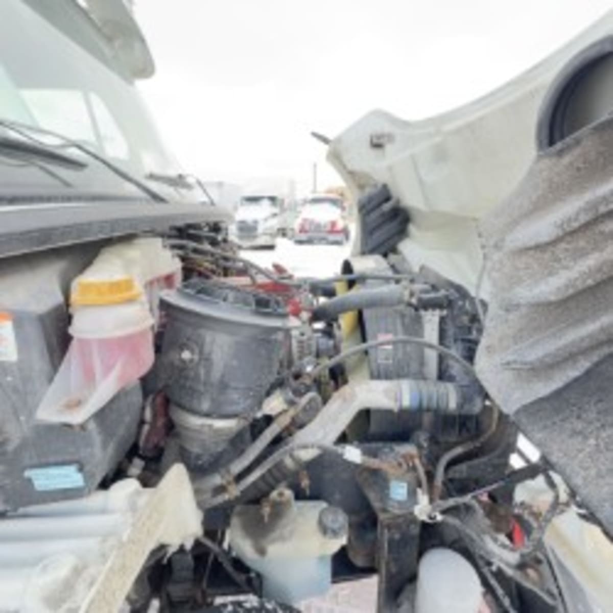 2020 Freightliner/Mercedes M2 106 277672