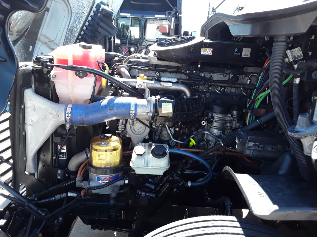 2019 Freightliner/Mercedes CASCADIA 125 277986