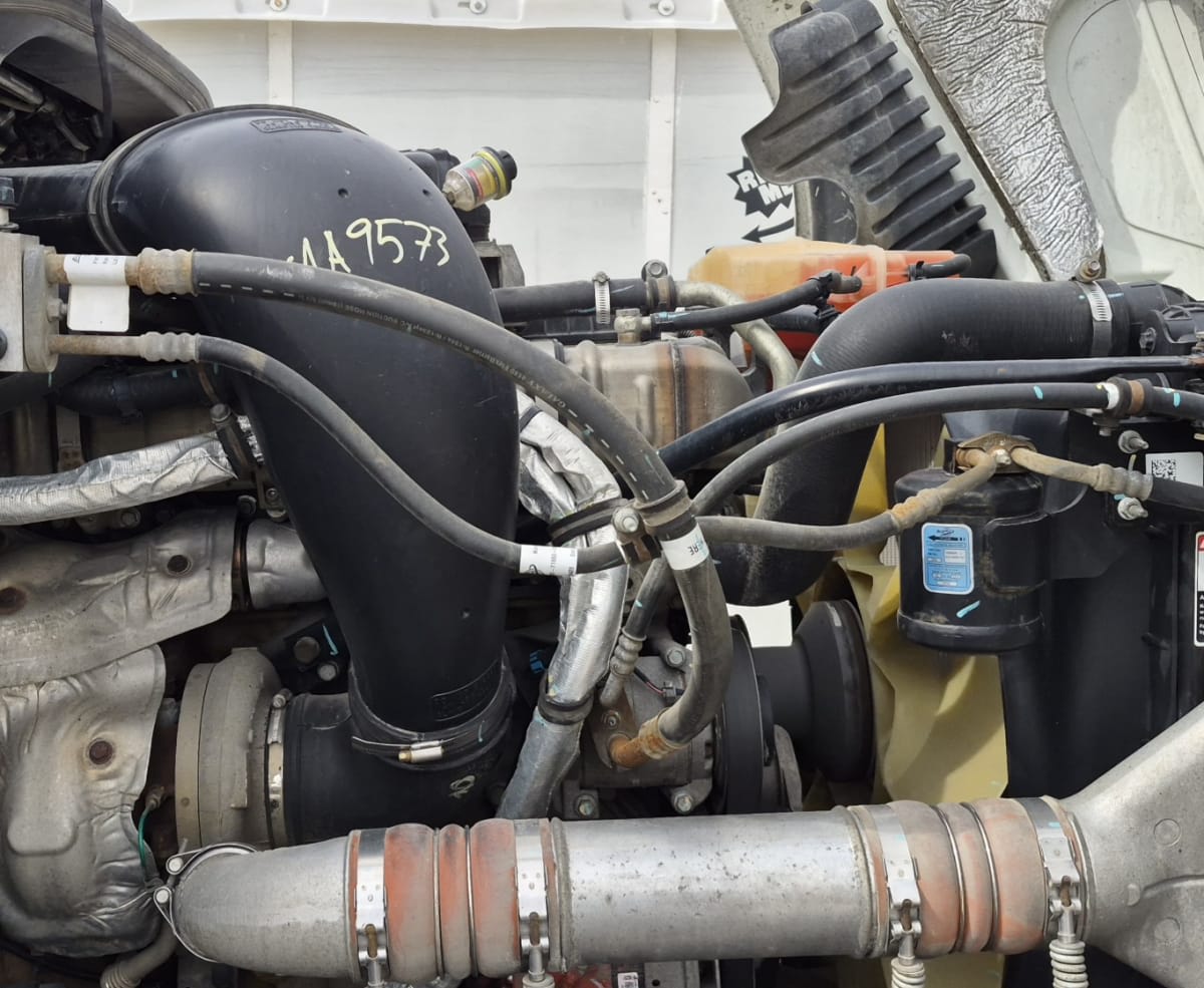 2020 Freightliner/Mercedes CASCADIA 125 279802