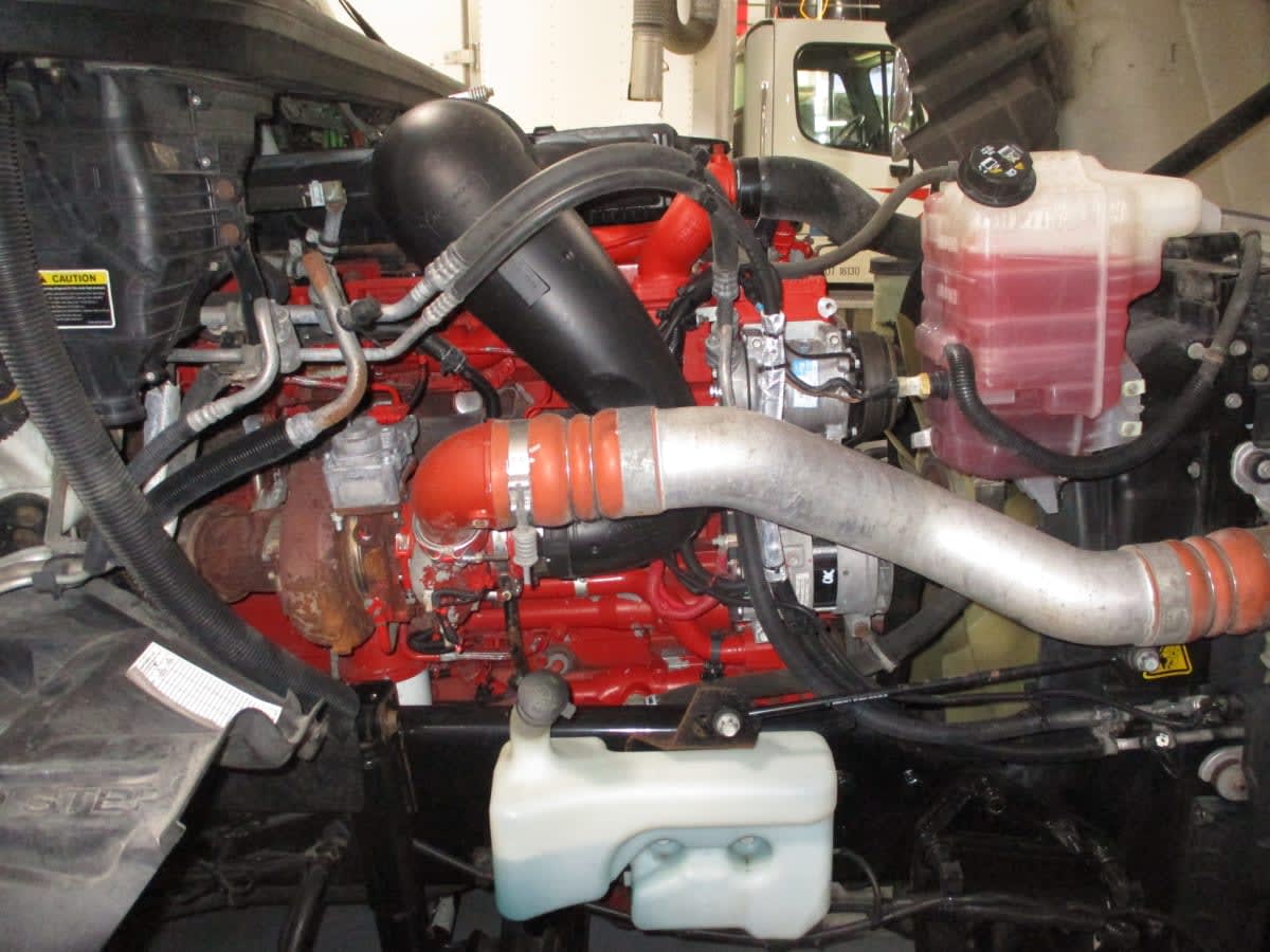 2020 International - image 11