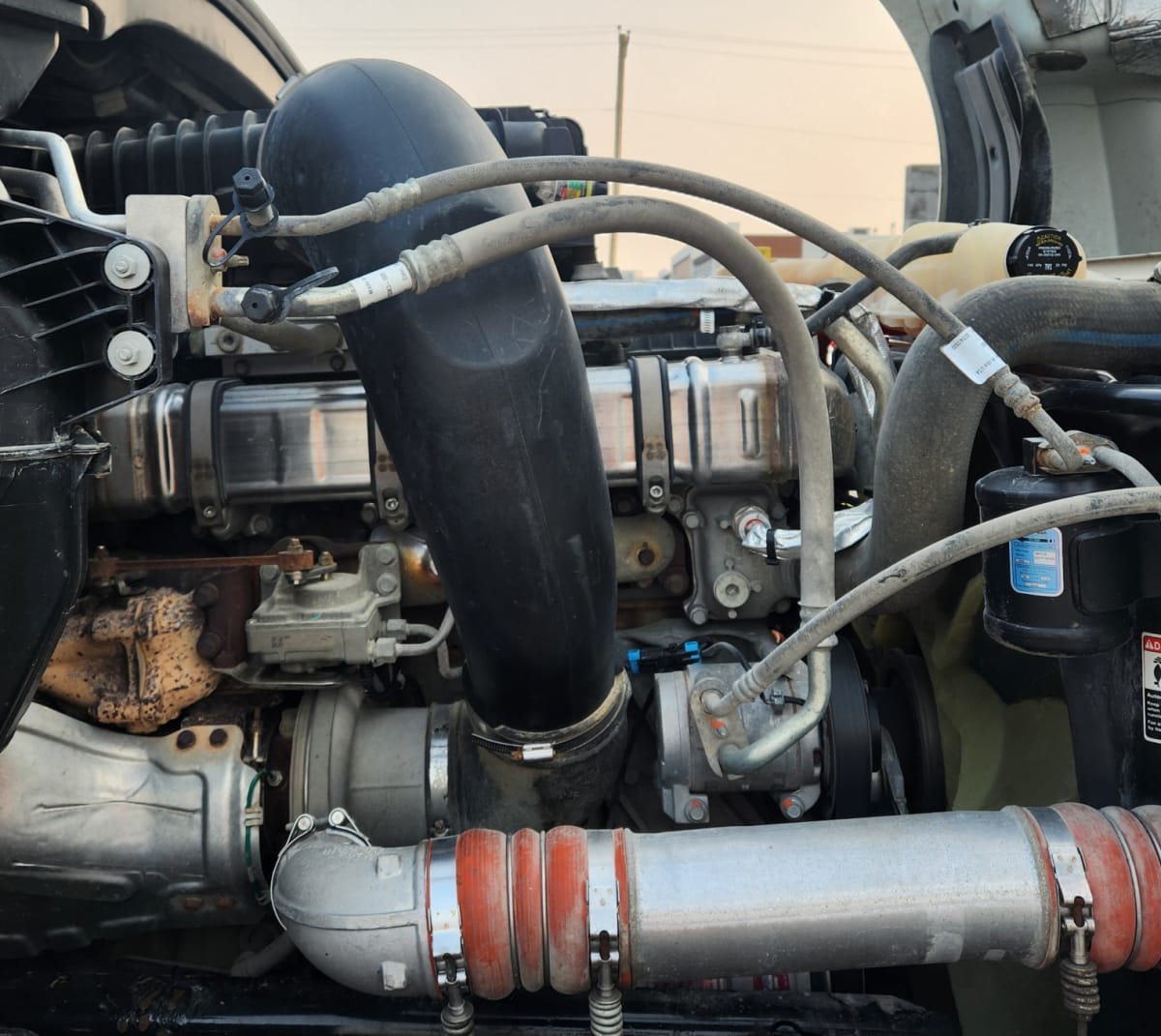 2021 Freightliner NEW CASCADIA 126 280661