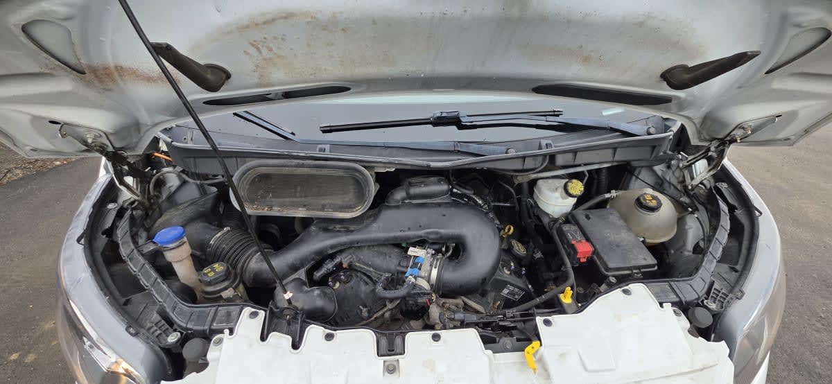 2019 Ford Motor Company TRANSIT 350 MED ROOF 280994