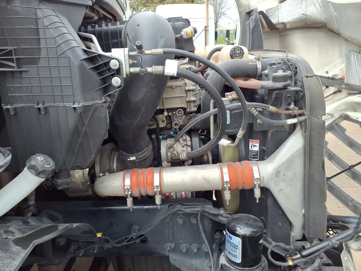 2020 Freightliner/Mercedes NEW CASCADIA 116 284268