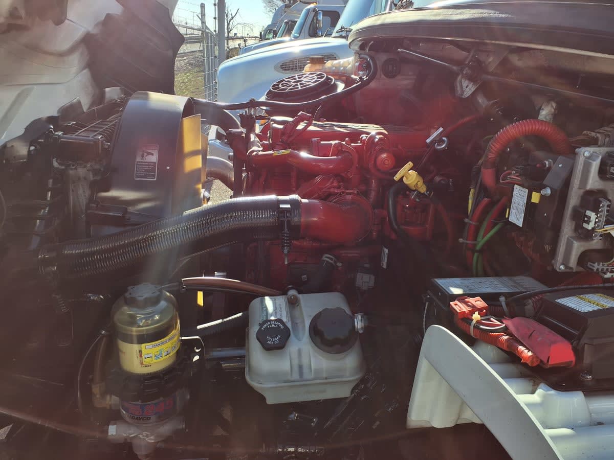 2020 Freightliner/Mercedes M2 106 286779