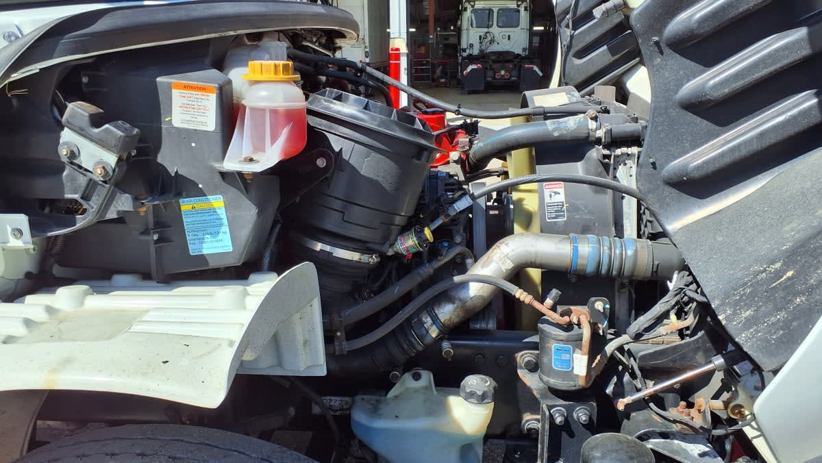 2020 Freightliner/Mercedes M2 106 286810