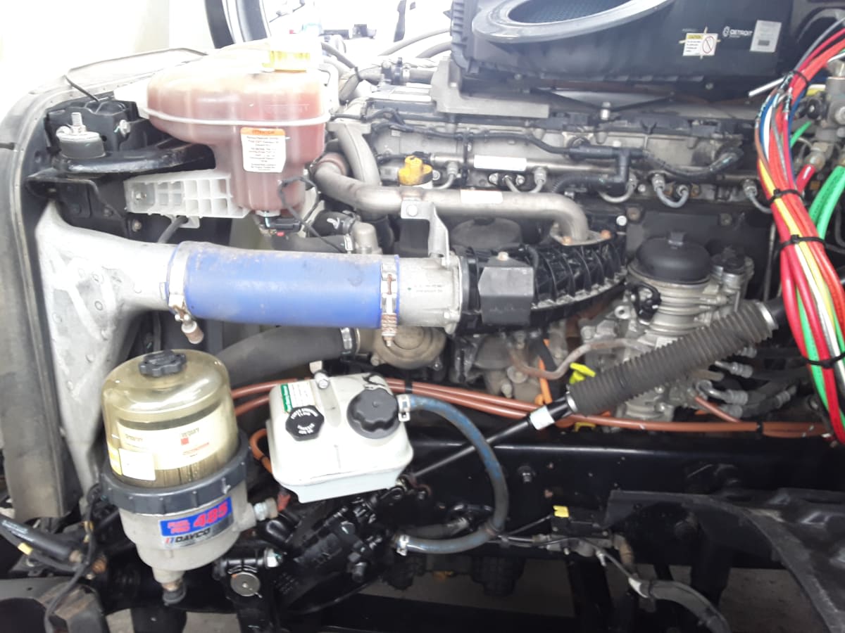 2020 Freightliner/Mercedes NEW CASCADIA PX12664 289525