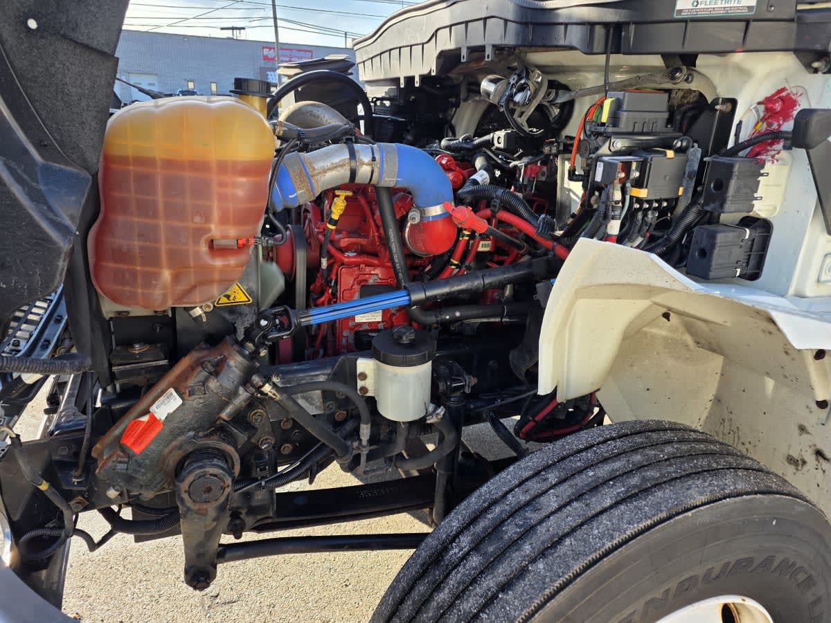 2020 Navistar International MV607 (4X2) 290131