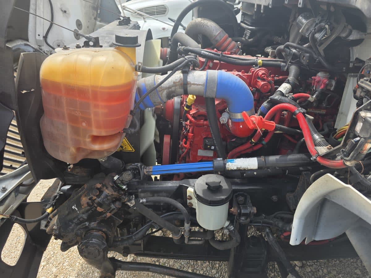 2020 Navistar International MV607 (4X2) 290132