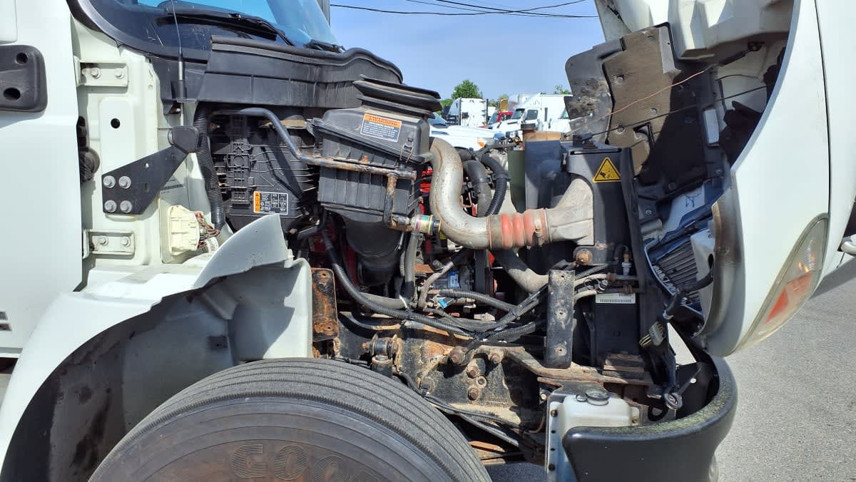 2020 Navistar International MV607 (4X2) 290141