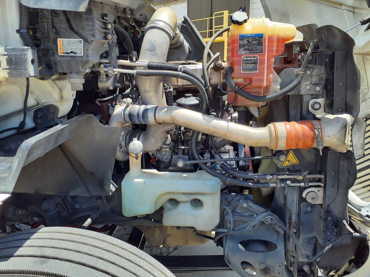 2020 International - image 9