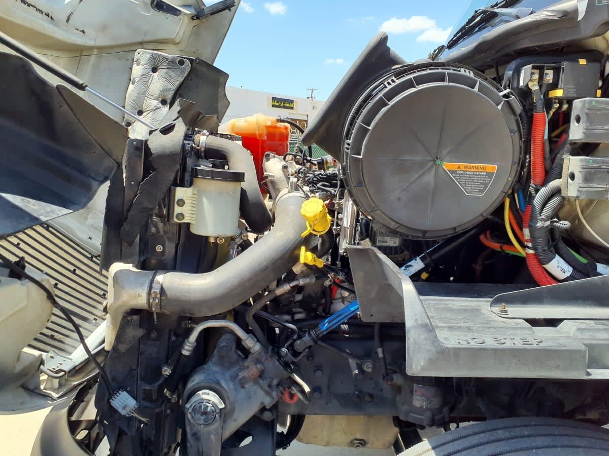 2020 International - image 8