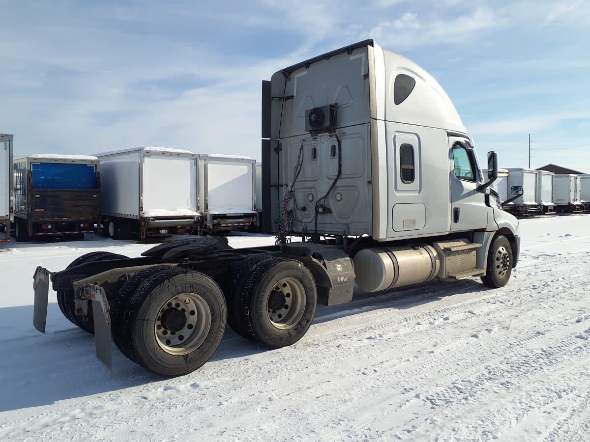 2020 Freightliner/Mercedes NEW CASCADIA PX12664 290510