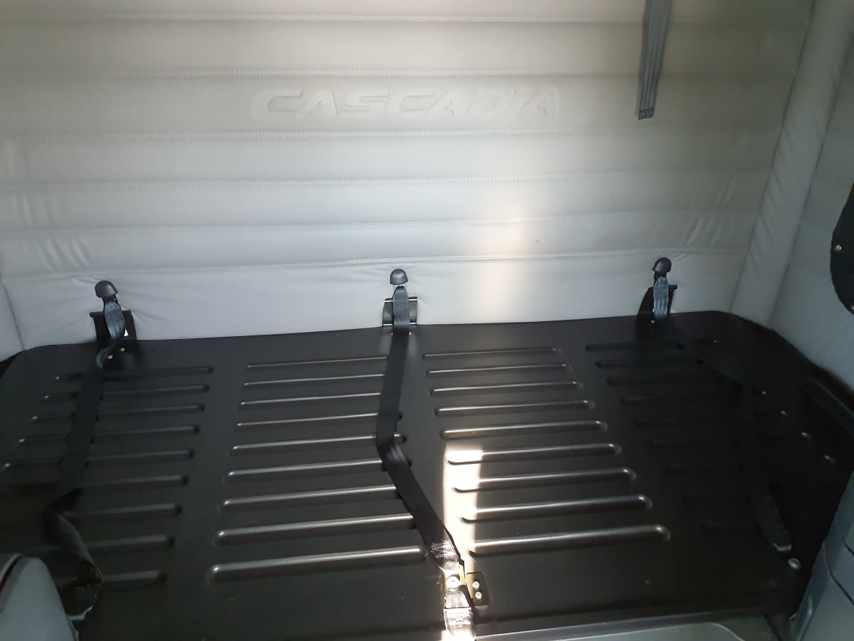 2020 Freightliner/Mercedes NEW CASCADIA PX12664 290510