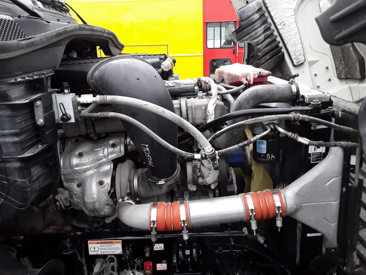 2020 Freightliner CASCADIA 125 290550