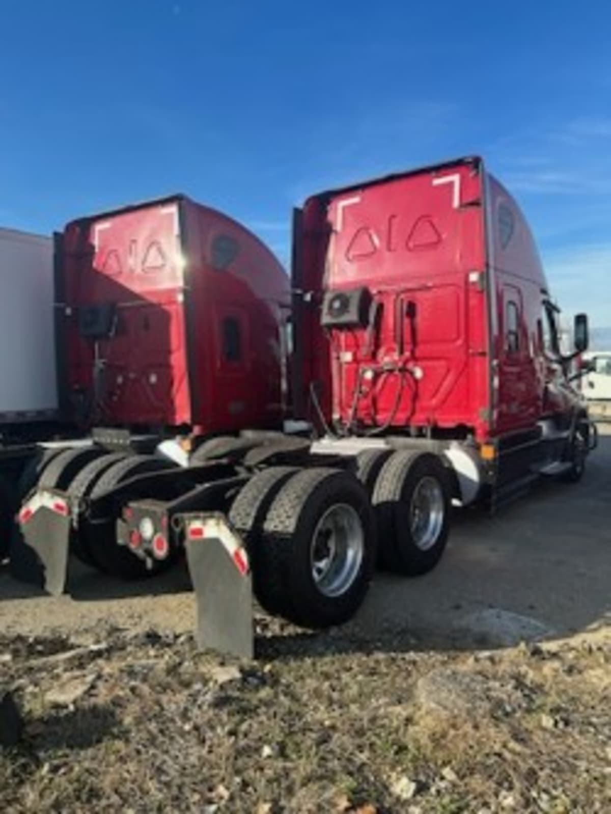 2020 Freightliner/Mercedes NEW CASCADIA PX12664 290666
