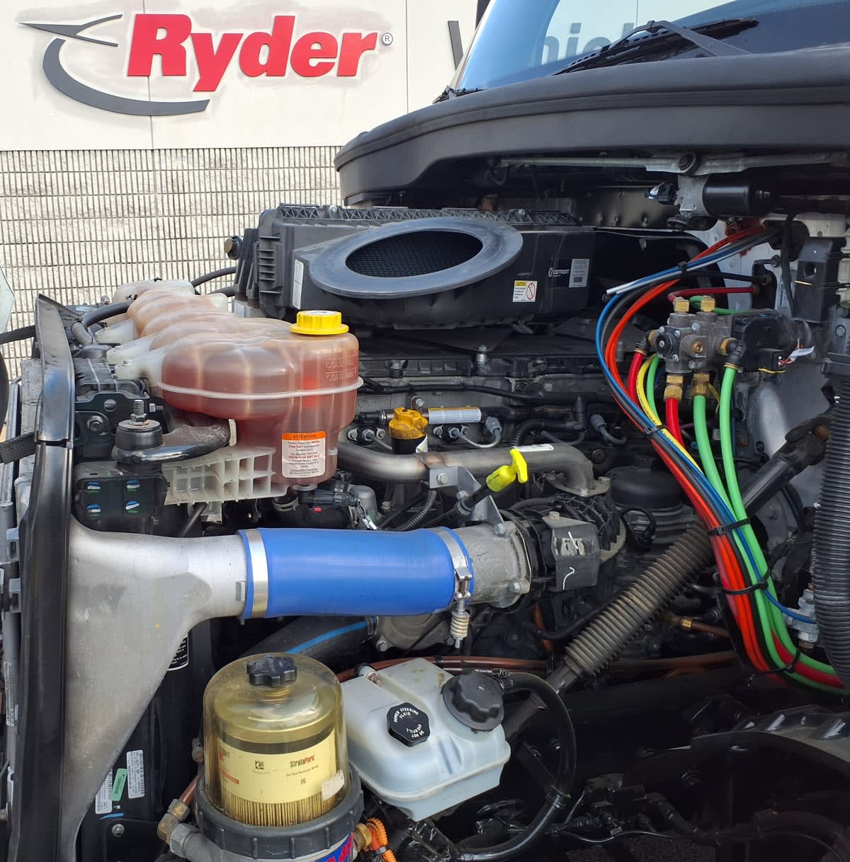 2020 Freightliner/Mercedes NEW CASCADIA 116 291004