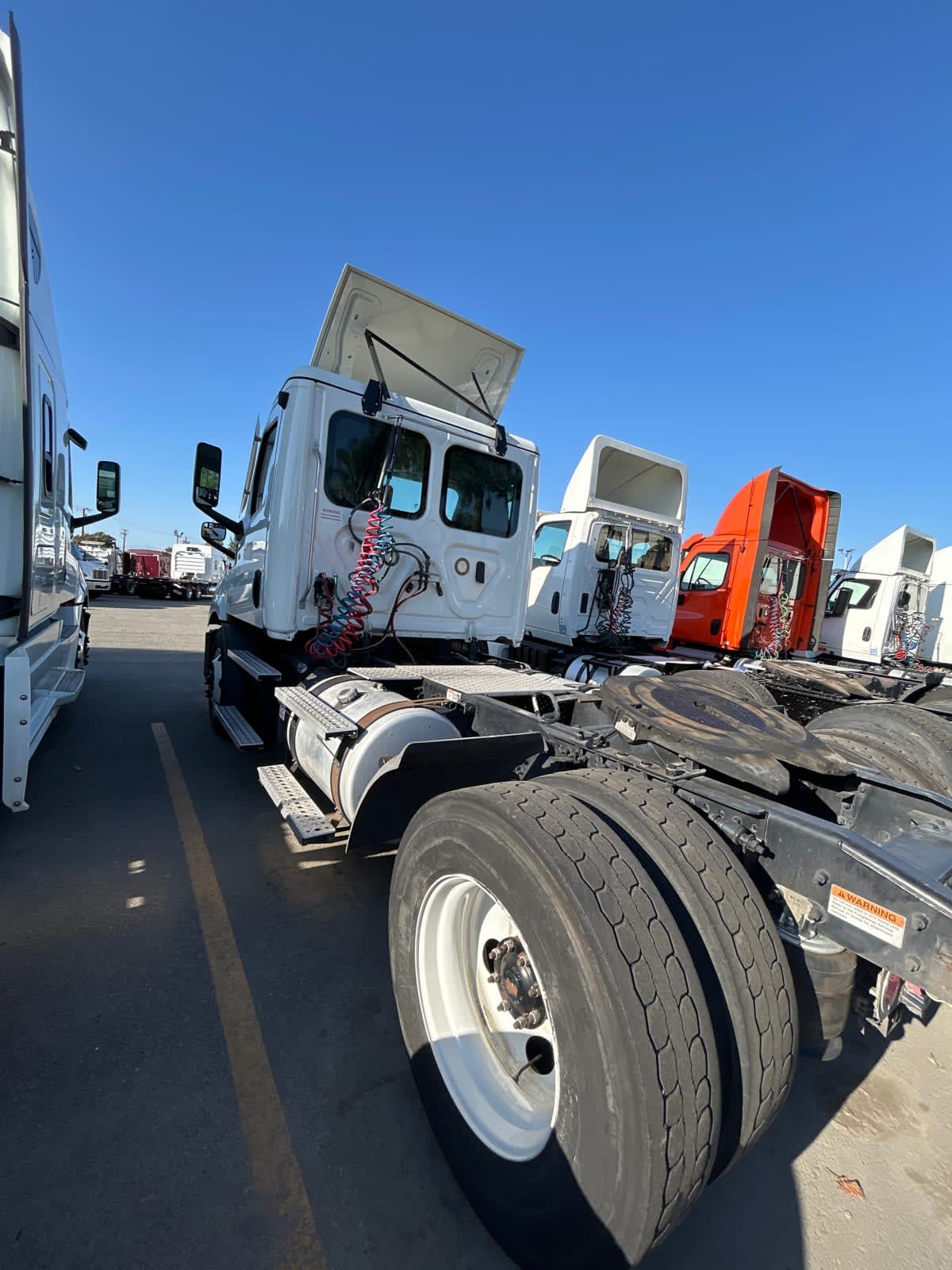 2020 Freightliner/Mercedes NEW CASCADIA 116 291029