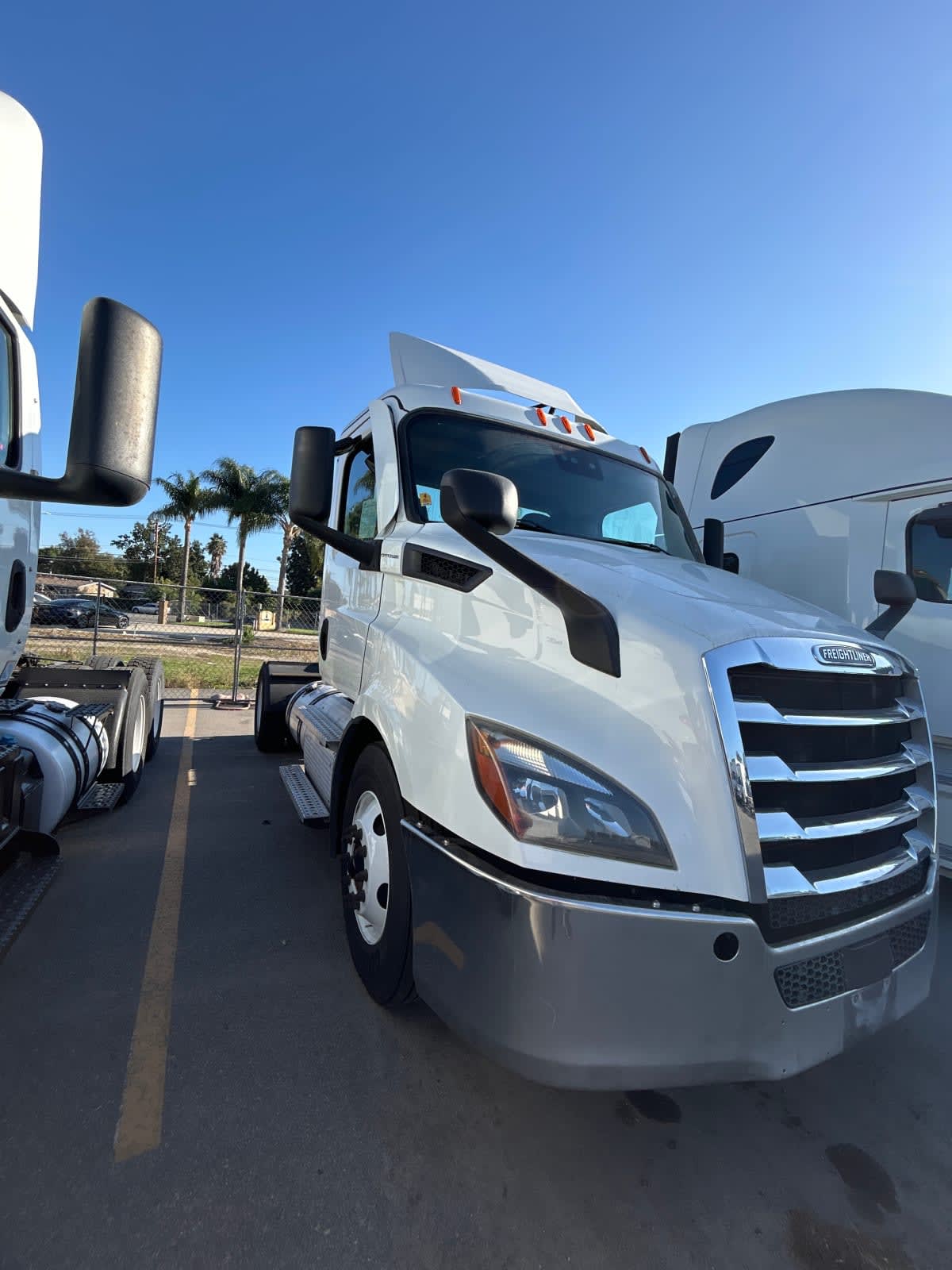 2020 Freightliner/Mercedes NEW CASCADIA 116 291029