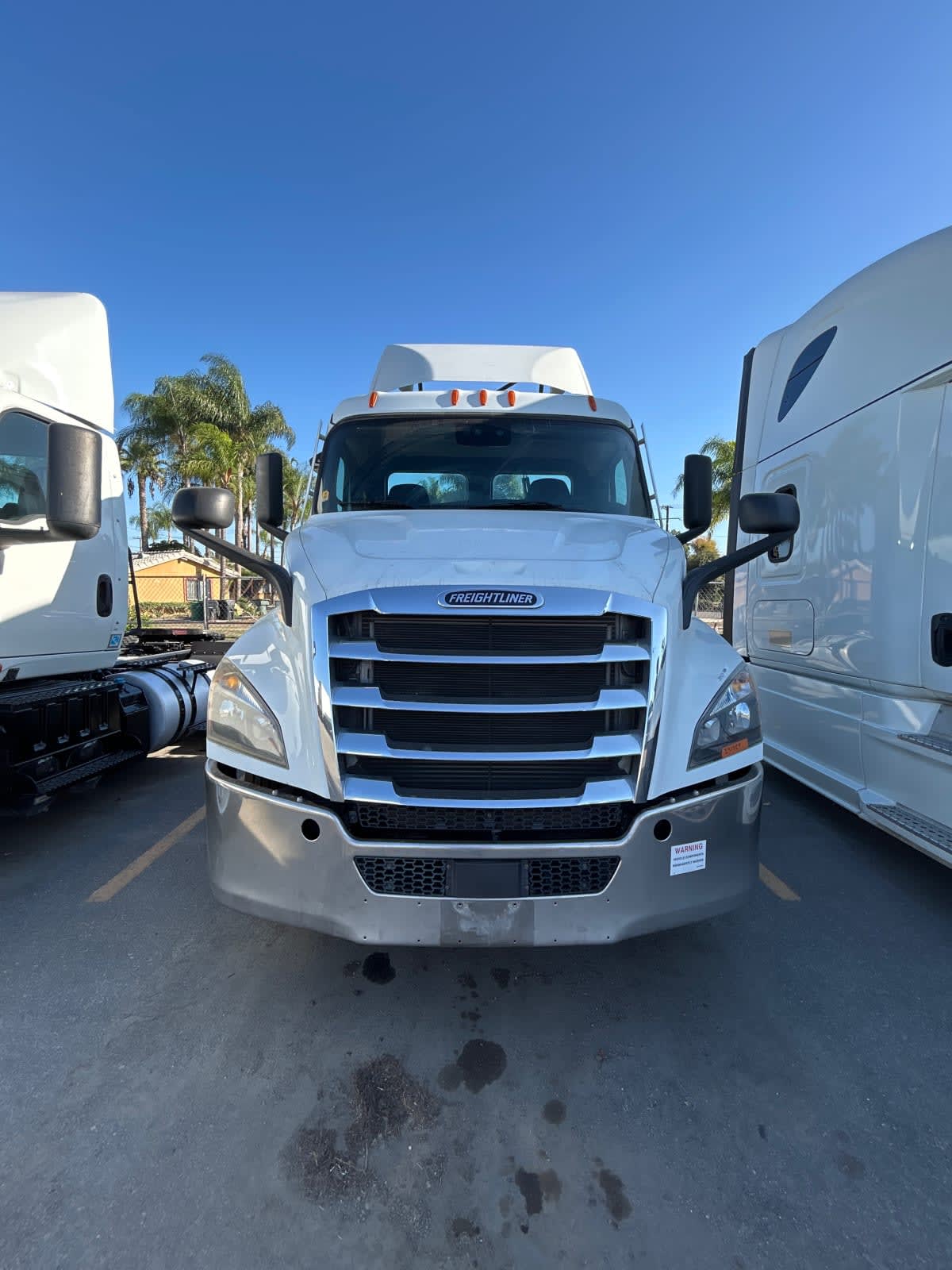 2020 Freightliner/Mercedes NEW CASCADIA 116 291029
