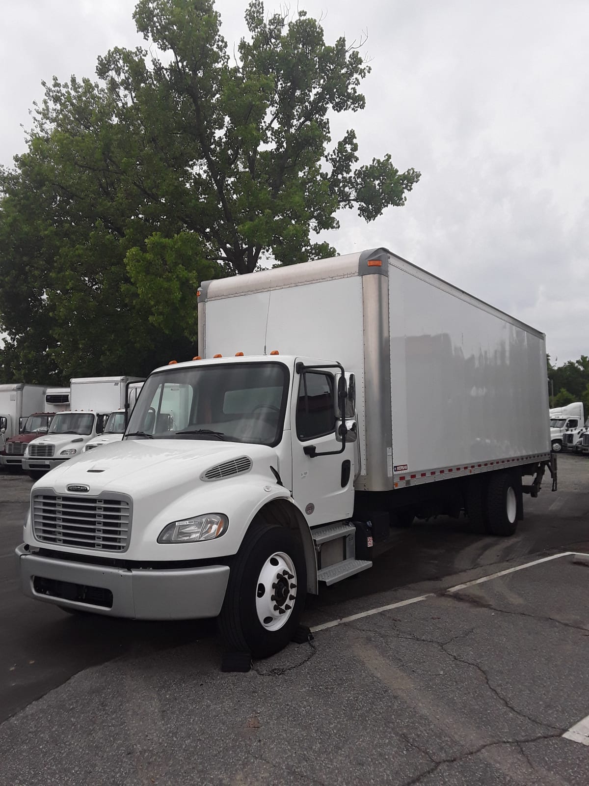 2020 Freightliner/Mercedes M2 106 291074