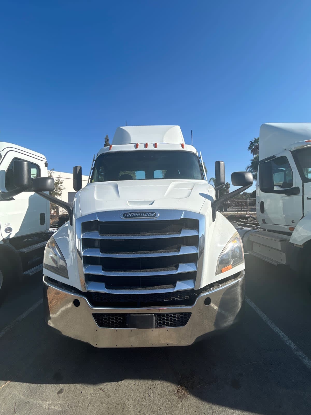 2020 Freightliner NEW CASCADIA 116 291137