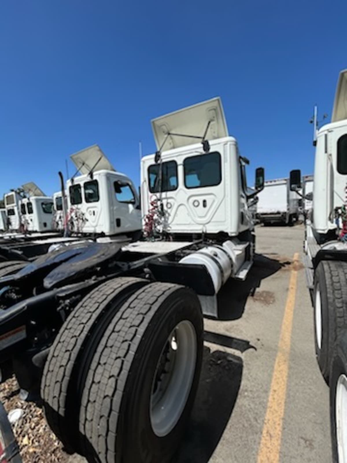 2020 Freightliner NEW CASCADIA 116 291150