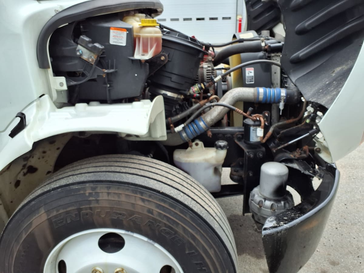 2020 Freightliner/Mercedes M2 106 291204