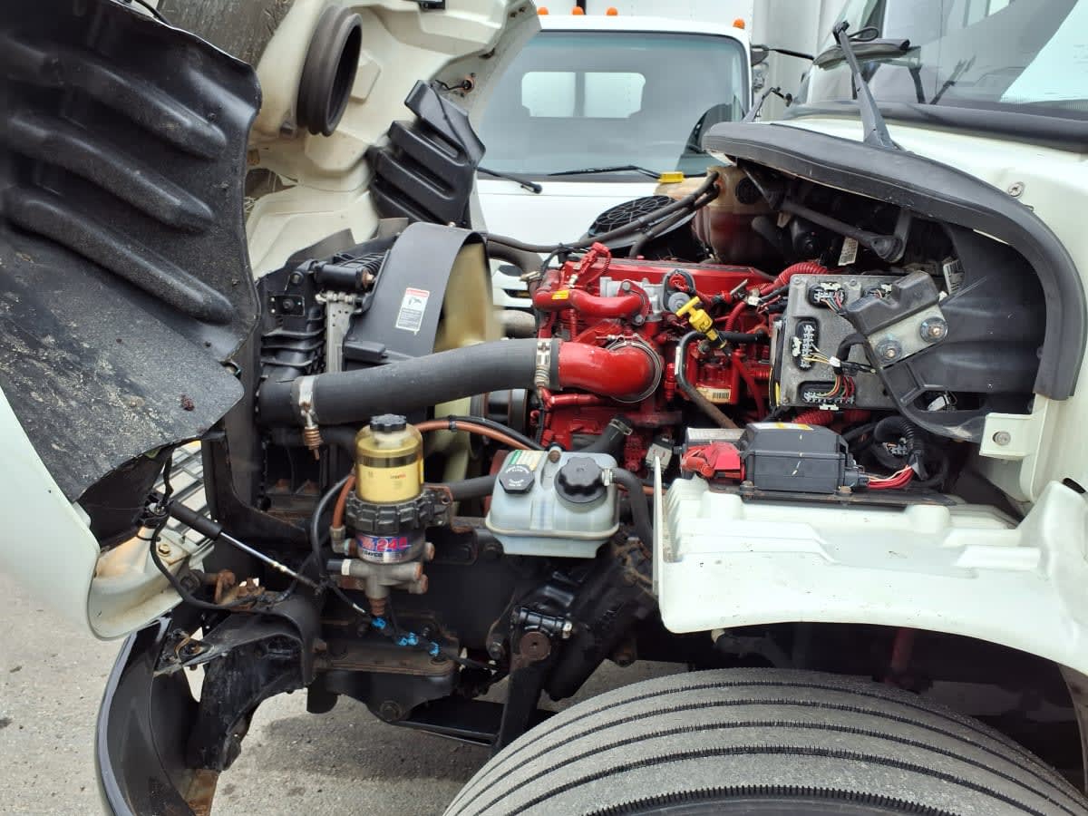 2020 Freightliner/Mercedes M2 106 291204