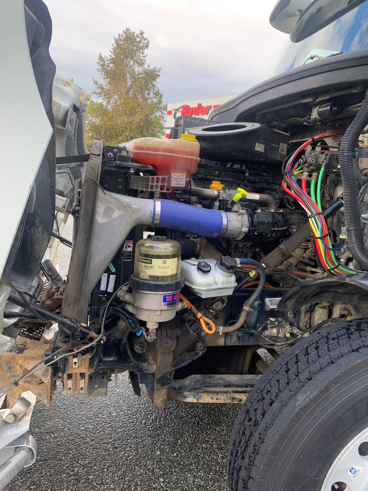 2020 Freightliner/Mercedes NEW CASCADIA 116 291221